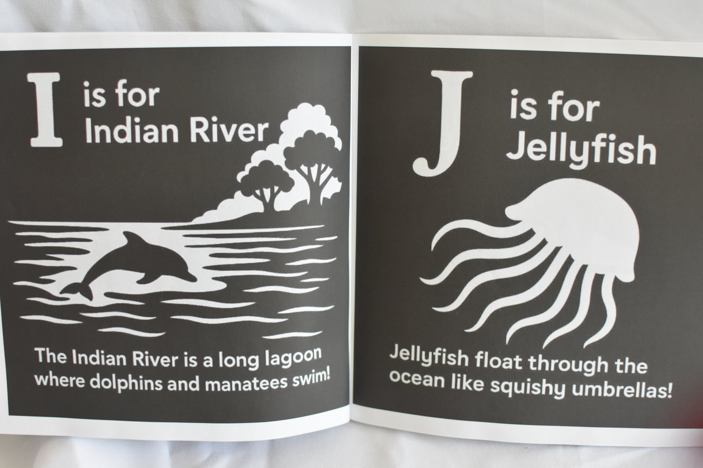 Sunshine State ABCs: A High Contrast Book for Babies